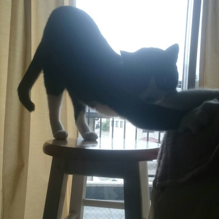 3360f29e 402c 417c 87d1 8ba425fdcb17