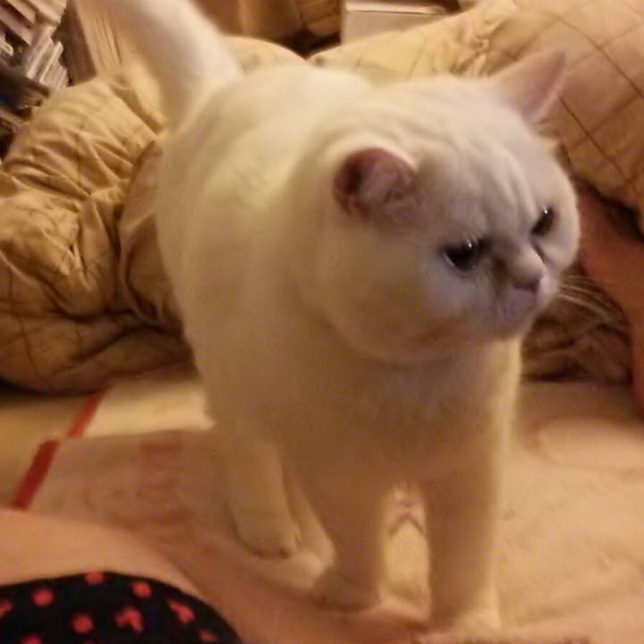 33610e95 c656 484a a7a4 838dbdd9c692