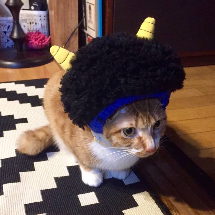 336135a3 4a7f 45e4 92ea b3889ecbce41