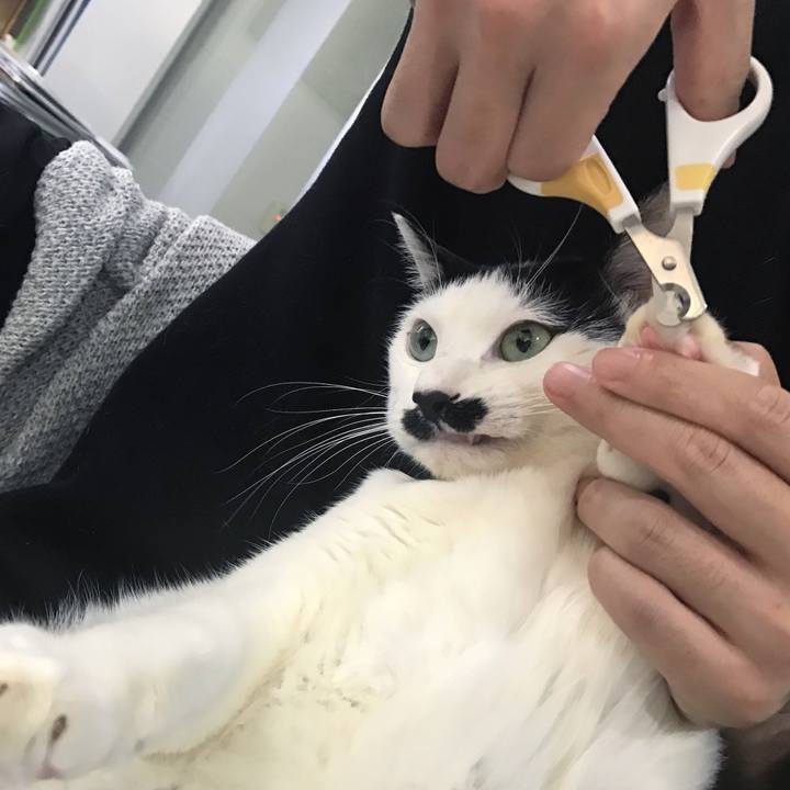 336168bc 6b99 4225 ac46 bbc1d701b41f