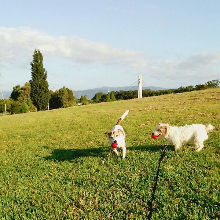 33616b34 4019 417f 8dbc 52983c4e3795