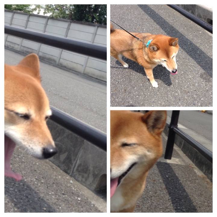 3361f28e 9f46 4cd1 8d18 cb074e942d3f