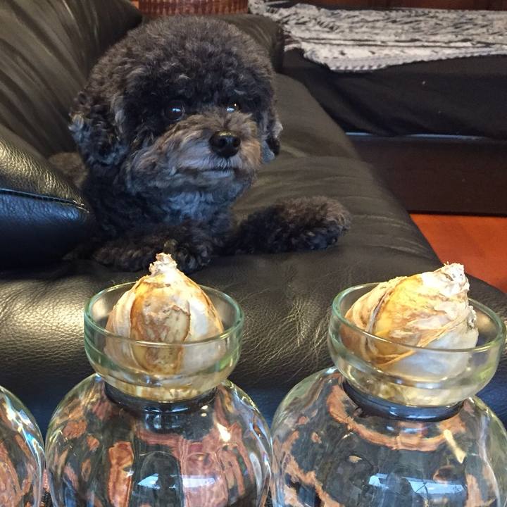 33636d21 6b02 4b33 9b72 8c845120d7c7