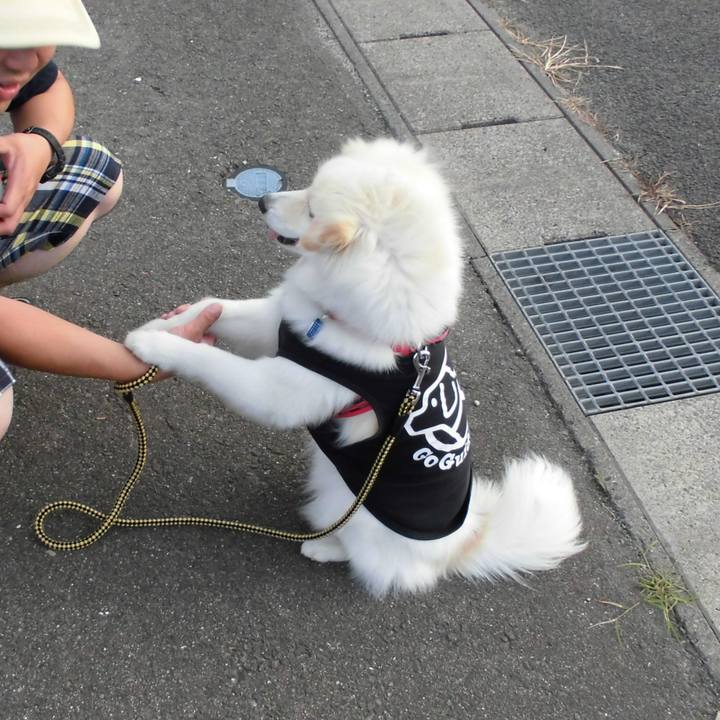 33645450 7742 4a83 8070 19e34f8376f5