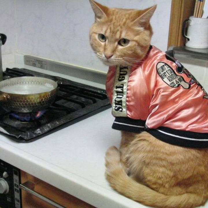 336458d6 c30c 43ee abb3 1344578e8538