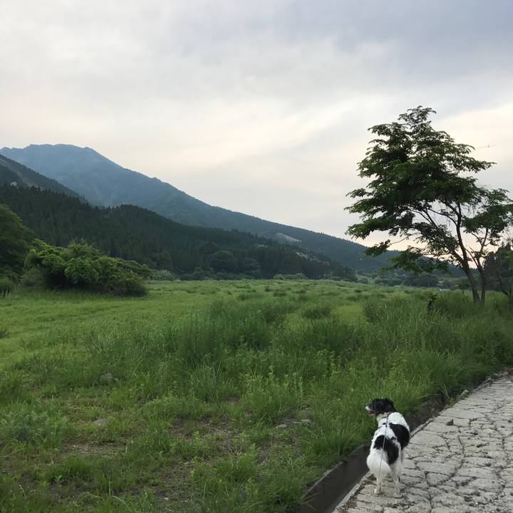 336591b1 ff5f 4620 b2e8 4503533ea3bb