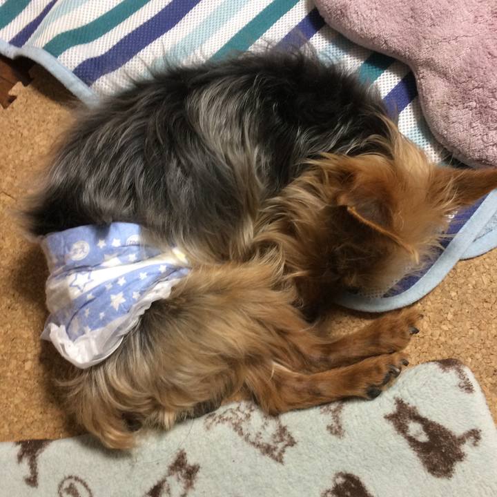 3365a1a2 74be 44ab 8ae7 36d0ba841286