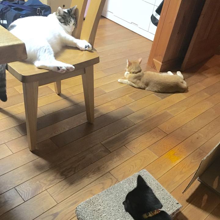 3365f2a6 947e 48f3 9f0f 15930df8fa21