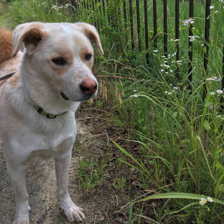 33673ba6 8210 47d6 ad2e a1004838cffa