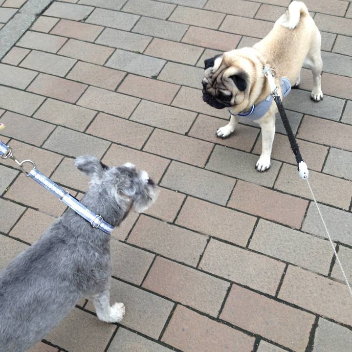 3367585c c956 4d9c b151 6f1ac7307cf1