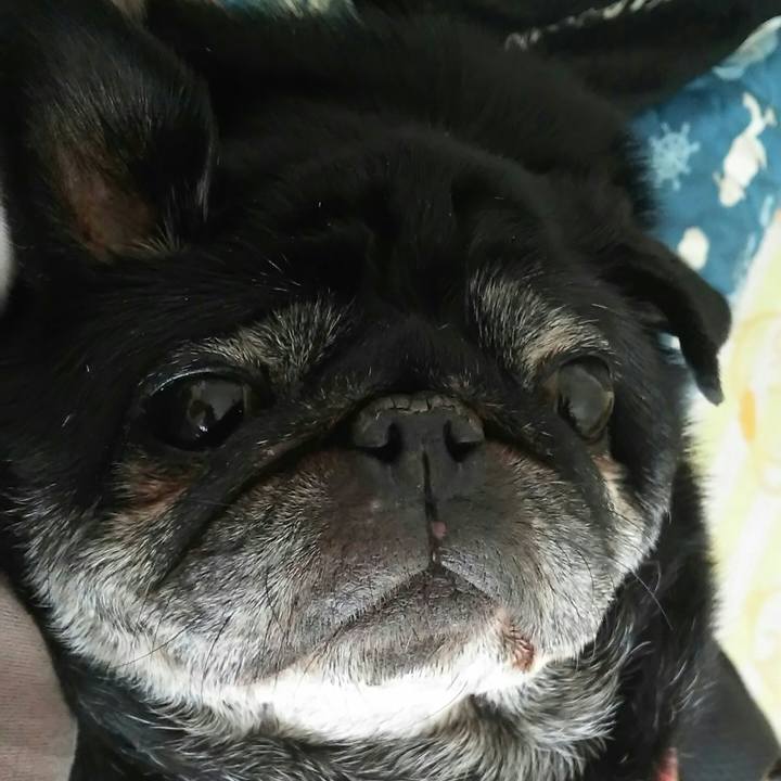 3367691f 6589 4d07 9638 dcd42346973a