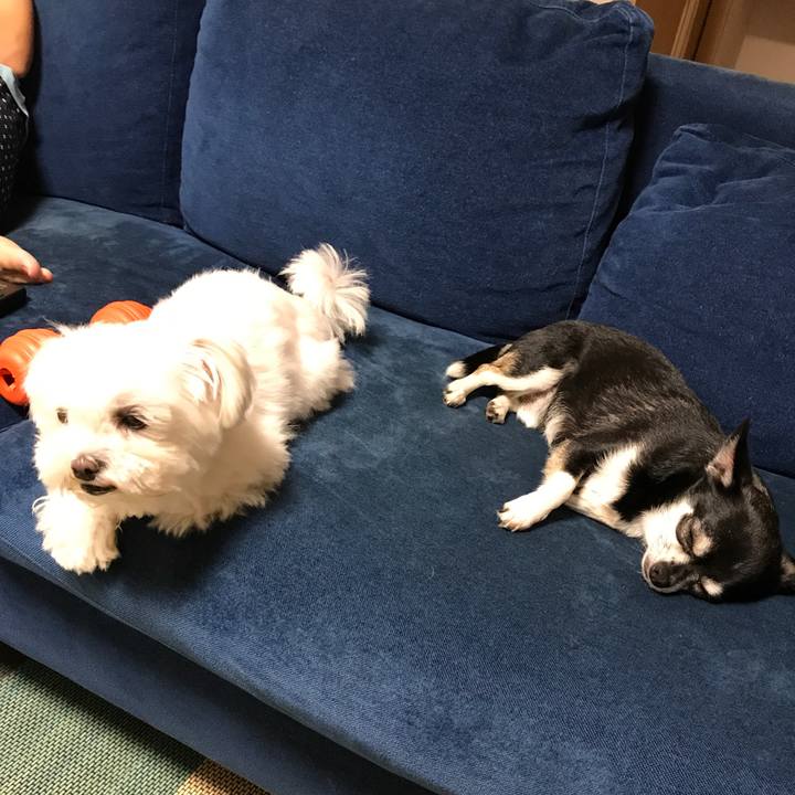 3368278d 6581 431f ad8c 3574baaac70e