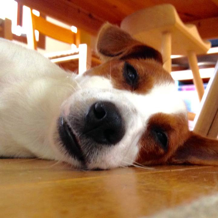 3368420b e459 48d3 9f27 ef4f40707cd5