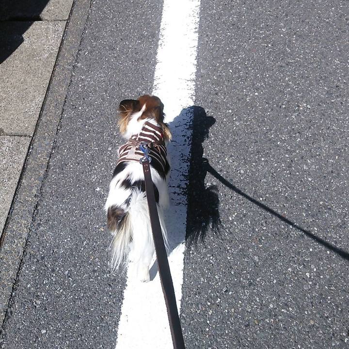 33686ea9 fd77 427e ba72 ff6d188eeea7