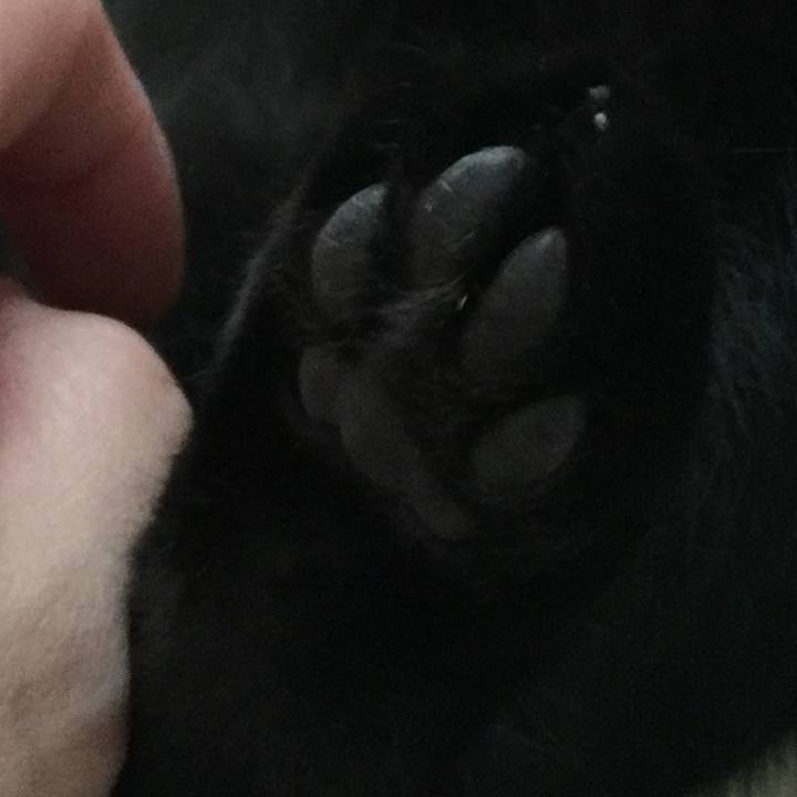 33689699 9036 436a 88d6 92e9f03acac7