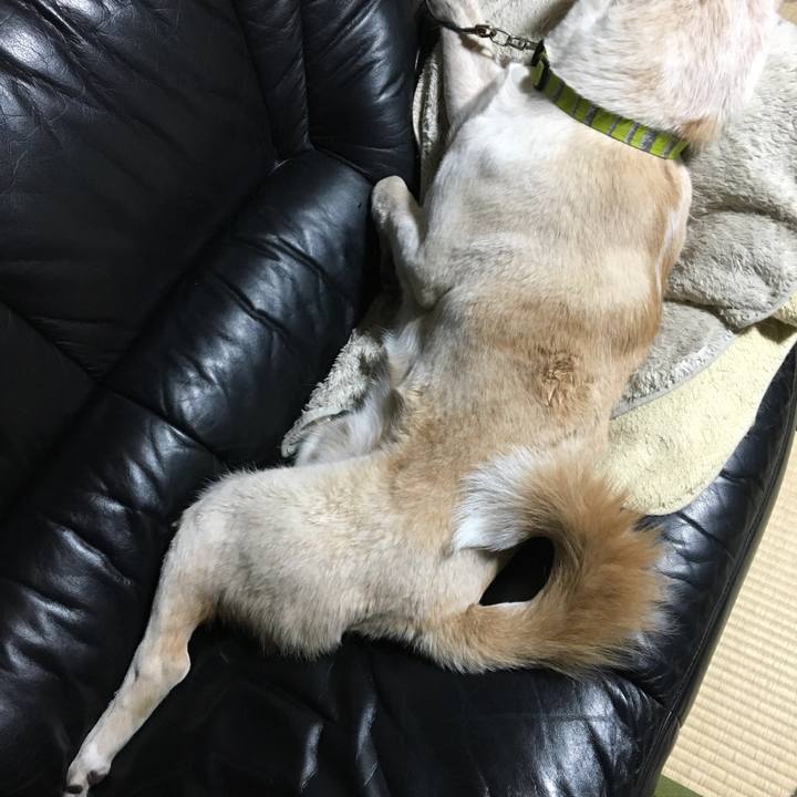 33690f5c 3fbe 4113 9bef f8c42fbef6f1