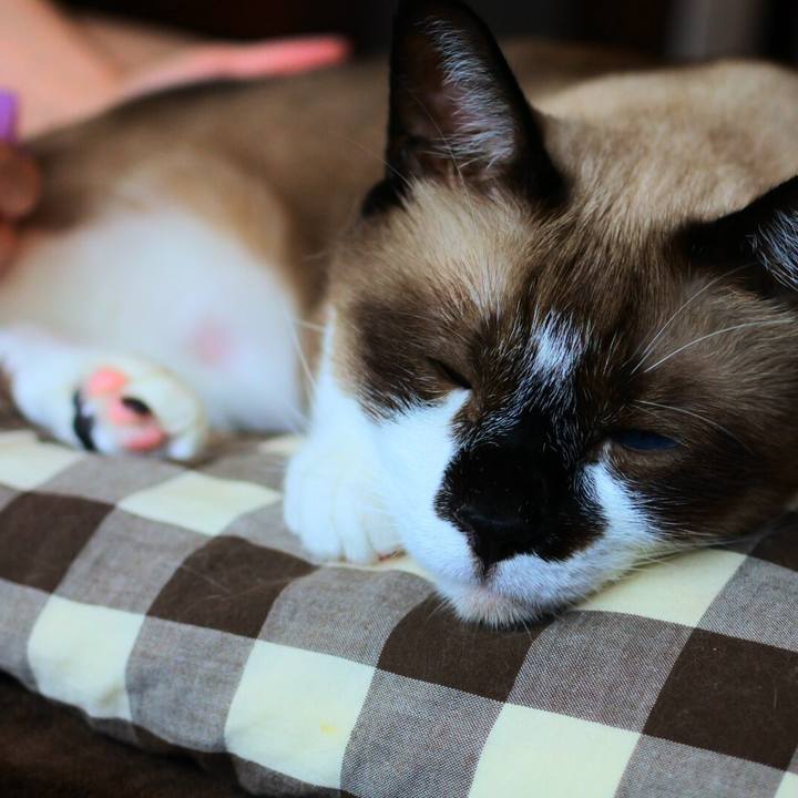 336a83de f358 41c7 b22e fbccfdb2c5ed