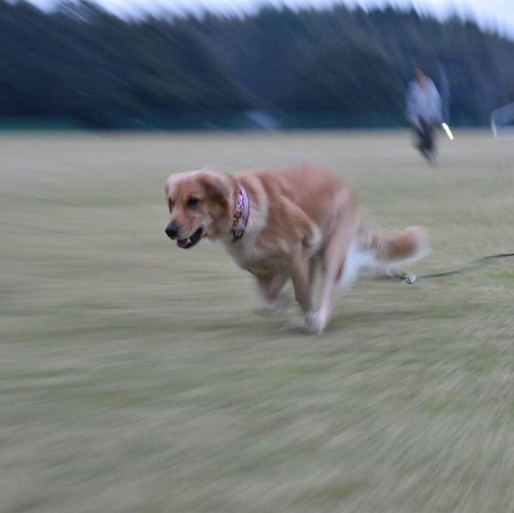 336b7310 f417 45fb 9c69 0a272cbde712