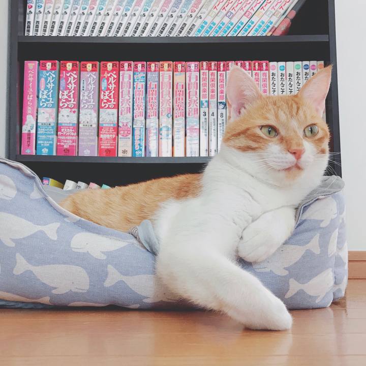 336b9e0b 37a5 4921 94b1 f14158466a82