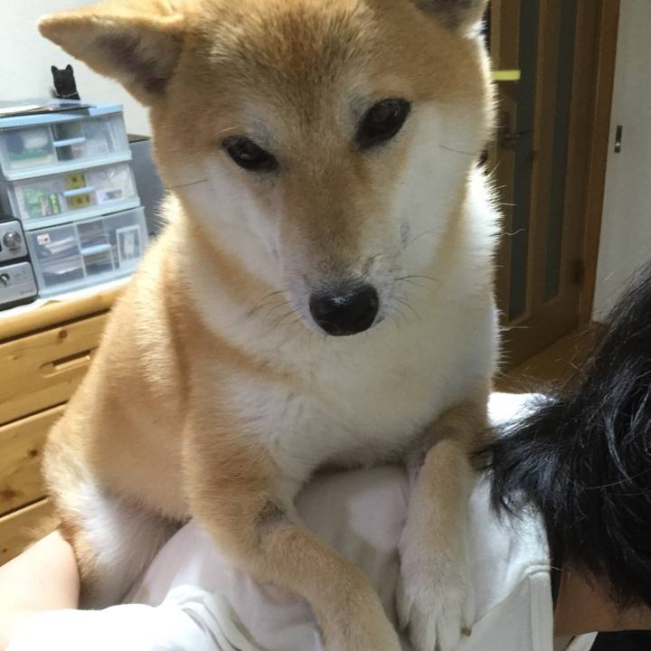 336c9b61 0cb9 42ab 968d 20d67487f1ce