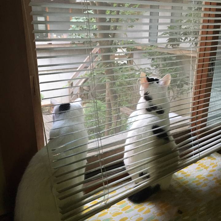 336d0e81 685e 429e 99bd d17fd620ca12