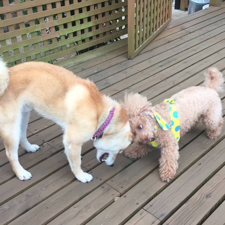 336d2fff aa96 4bdc 9e42 e2a642dce5f5