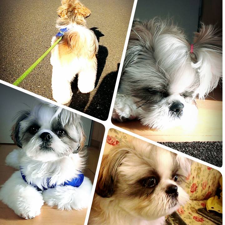 336d927e b564 4d0d bea4 20fd0841351d