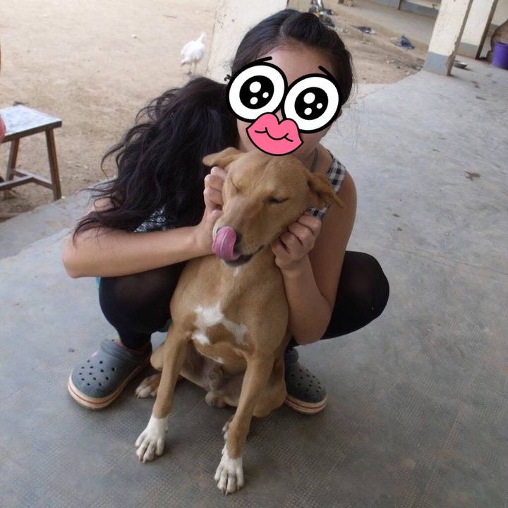 336e1f90 c91a 4d40 9672 d5784a722276