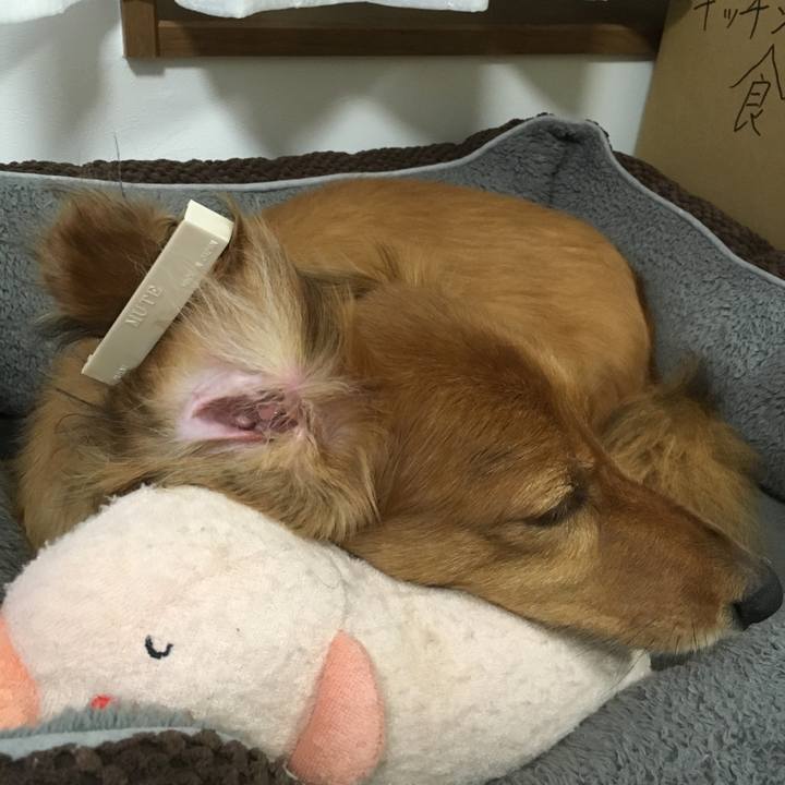 336e418d e428 4833 b1f6 ad8b0f0d5d39