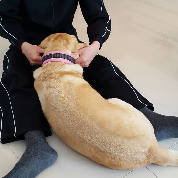 336f33db 14e1 462b 82b2 5f4095997ad3