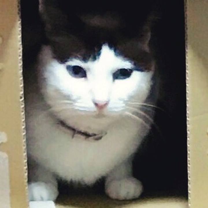 336f5fc2 e35d 4798 a71d be90f5664e7e