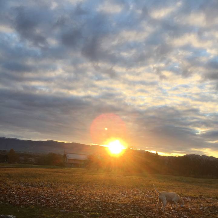 336f7ff6 ff3b 4d4c 9005 fe649e621542