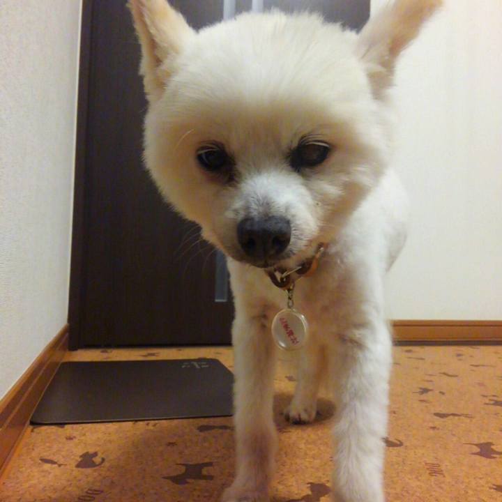 336f8499 617e 4bfa ab62 33e1f56cf4c5