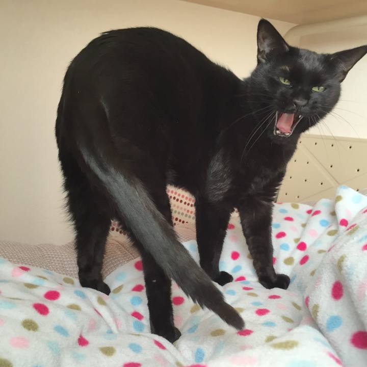 336fcb48 8aae 4da7 a845 4d46e77ed21e