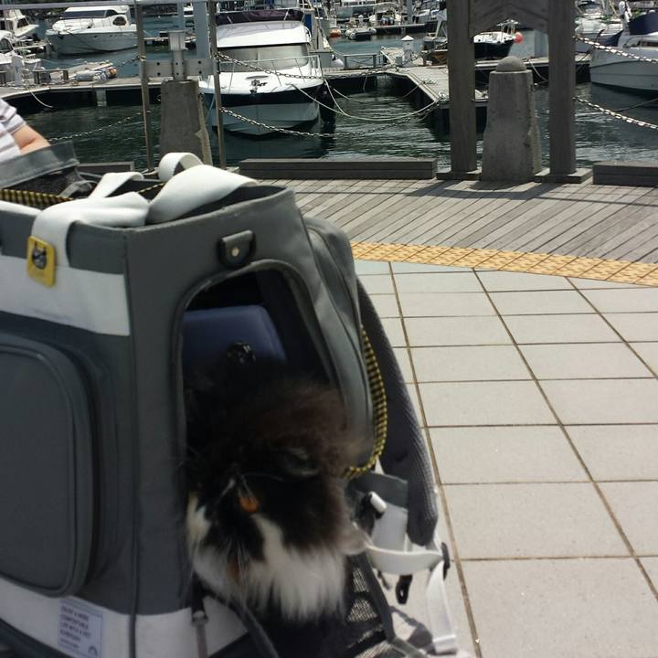 336ffcda 1311 42ee 8886 016cde0ff7b0