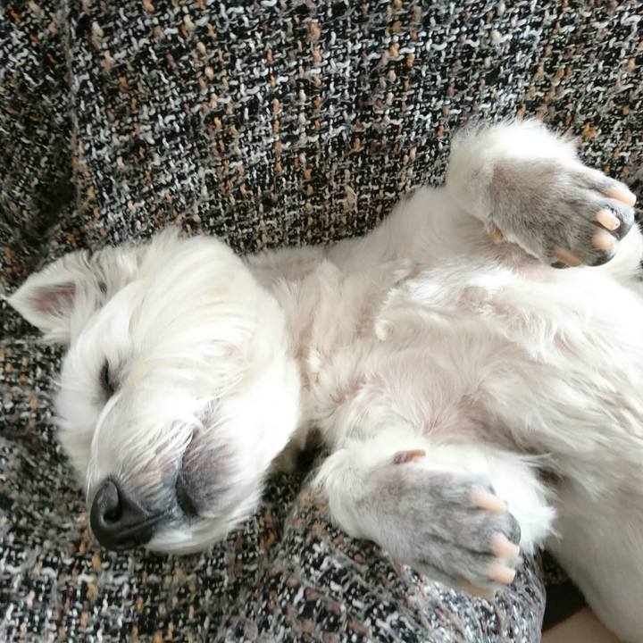 337079d5 c95e 489b aab6 c94b70810815