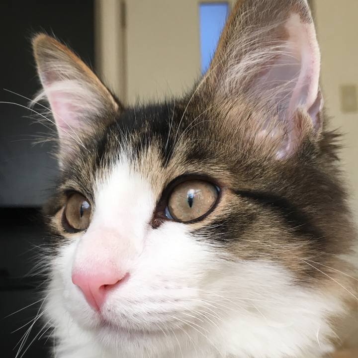 33707fd2 f929 46f3 9cbb aac3aea6986d