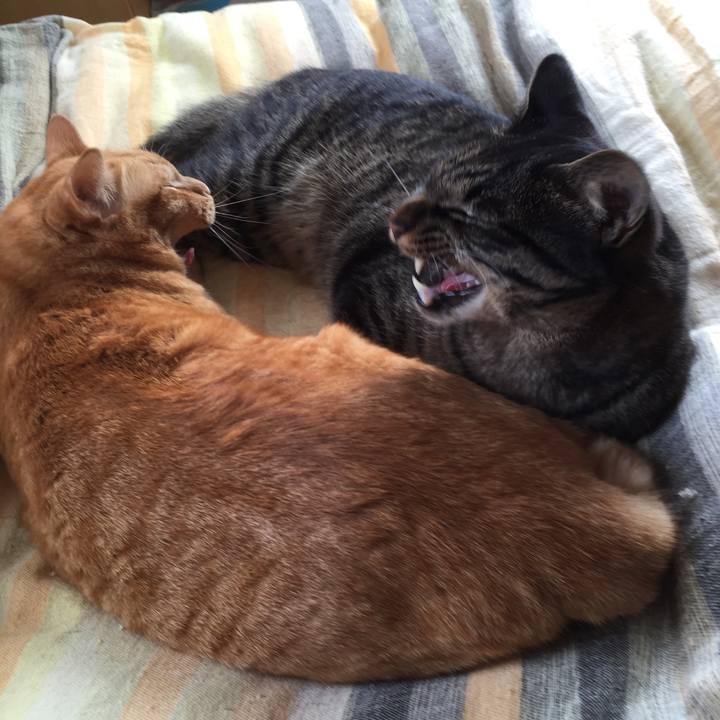 3370ae9d a339 4870 b6e5 74c7675bca59