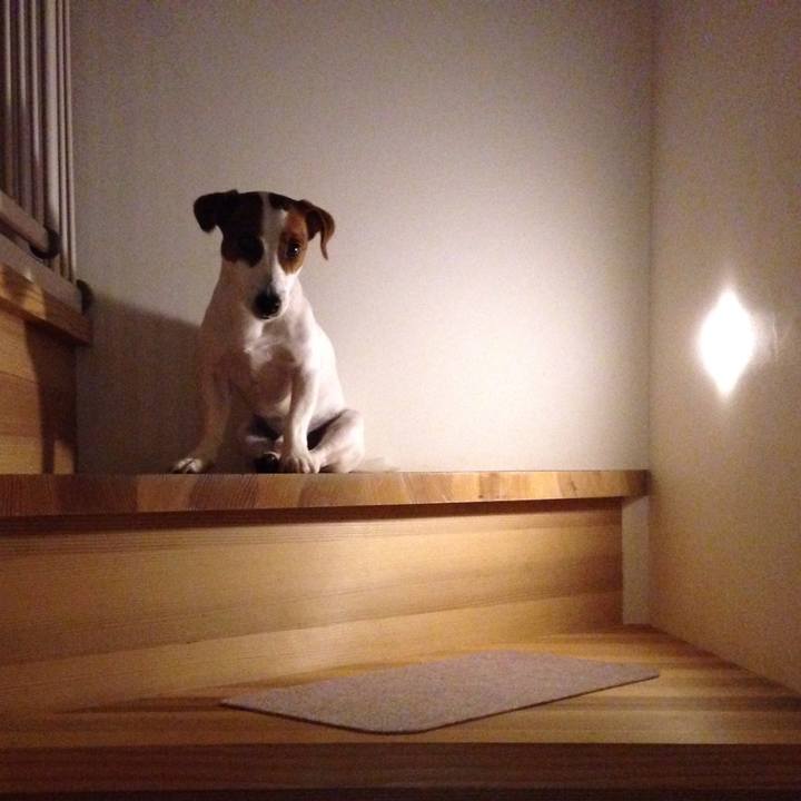 3370bbf6 3bfa 4dff b80d 56b7749cb3d3