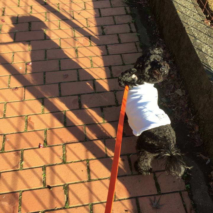 33713d6b 87b3 4c0c 8bea 0f52c614589c