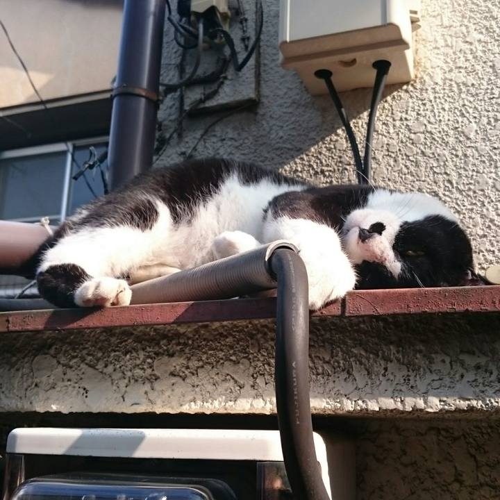 337157a9 c40e 4a76 b1b2 0a6ed9f4920c