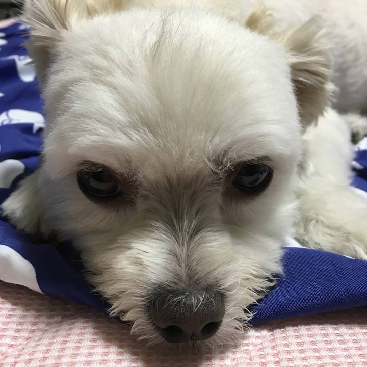 3372091f 030e 44f2 a183 c3f6ef9e0c52