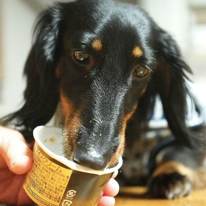 3372899e 7ef3 4647 9404 47bcb4a9f23e