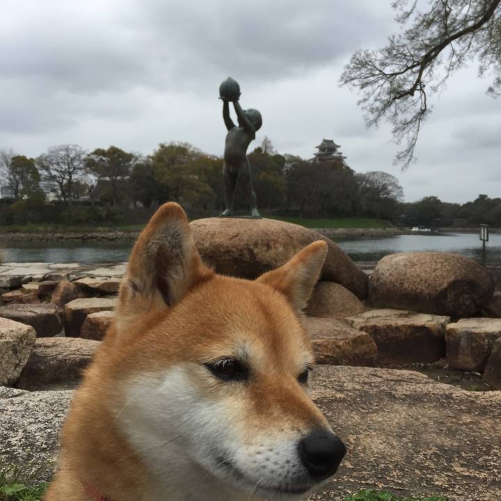 337291a8 b51f 4ece 9b41 73158fdf89b6