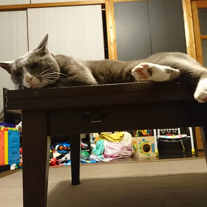 33729455 0938 40ff b3df b2cbb03572d0