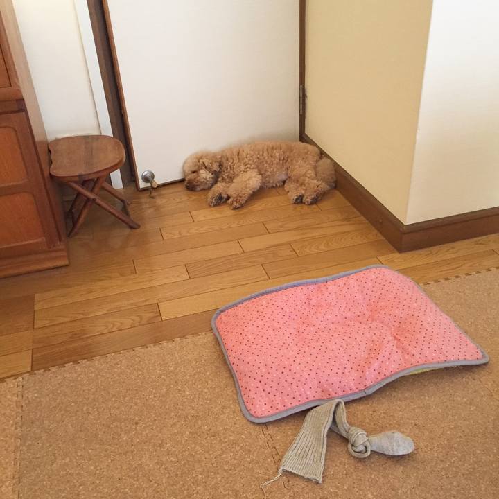 3372db8a 1cb0 4ff6 9935 722b4204059a