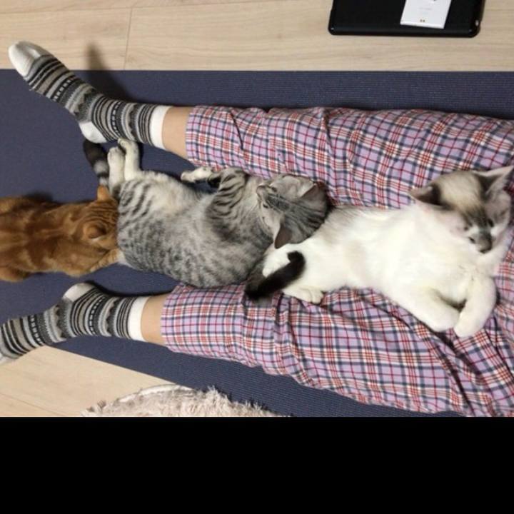 33735263 9bf5 4dd3 87d6 985587d742ba