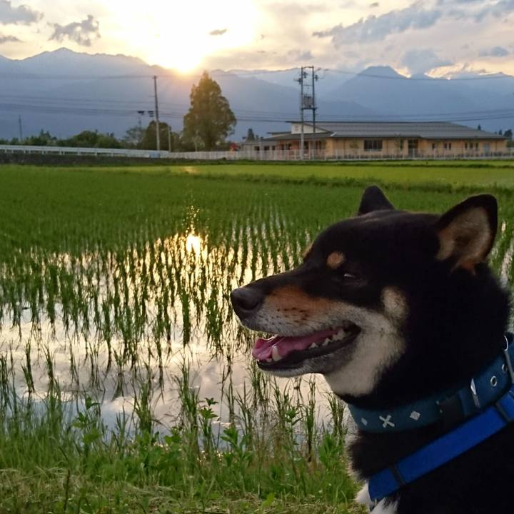 33737f46 f164 496d 8d3b 5136e5c5eaa7