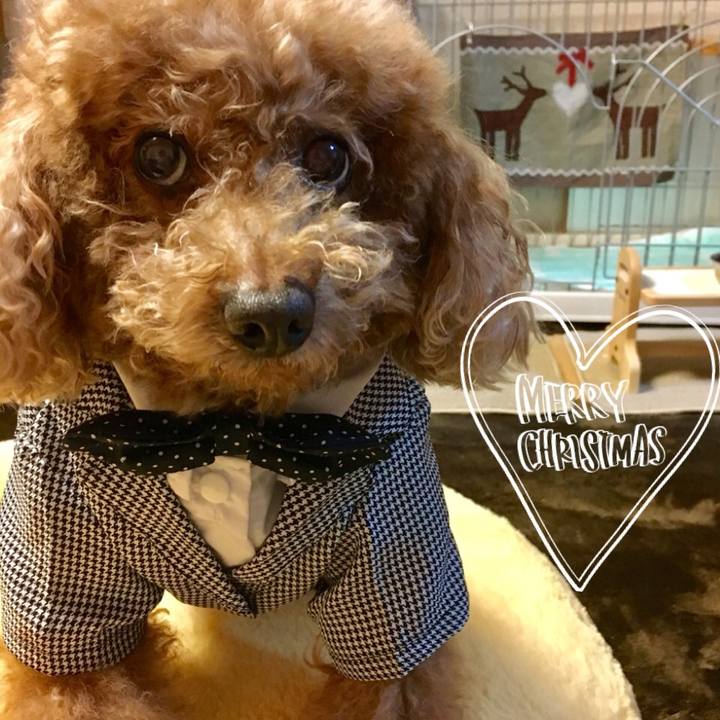 3373df01 16cf 4486 8f55 870456c5156b