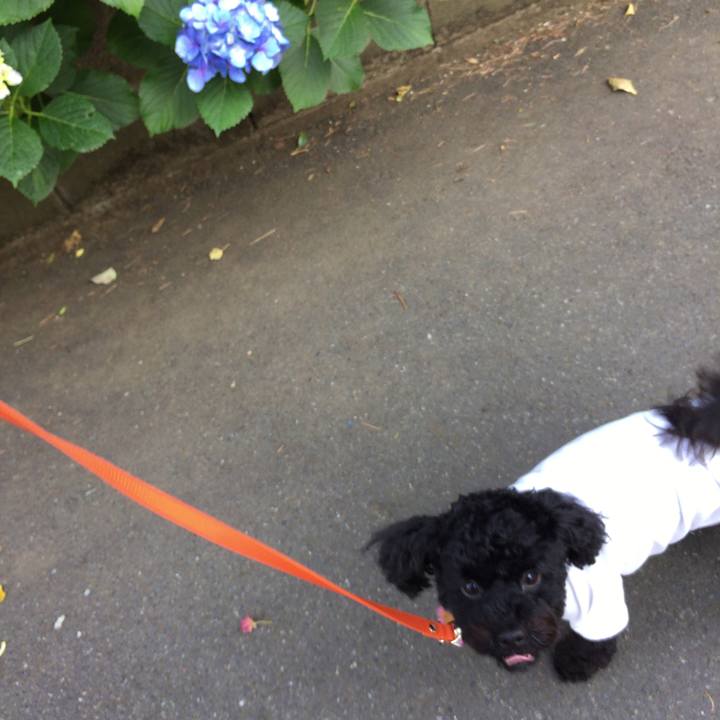 3374029b 87e9 41f5 960a a0e3ebd2d245